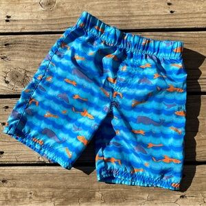 Shark, whale, and dolphin swim trunks
